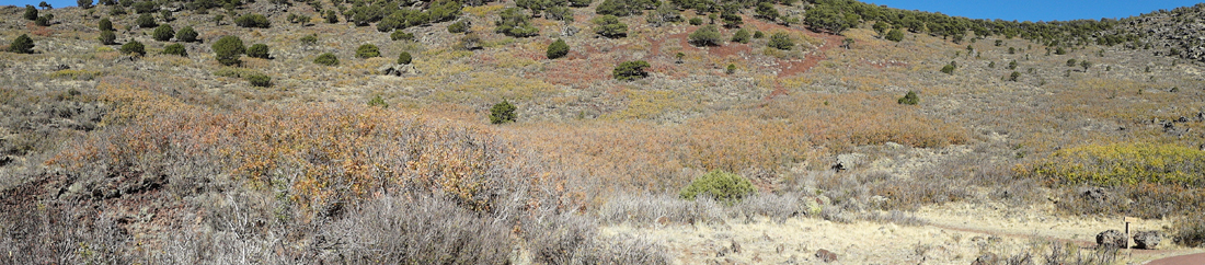  looking up from the heart of Capulin Volcano